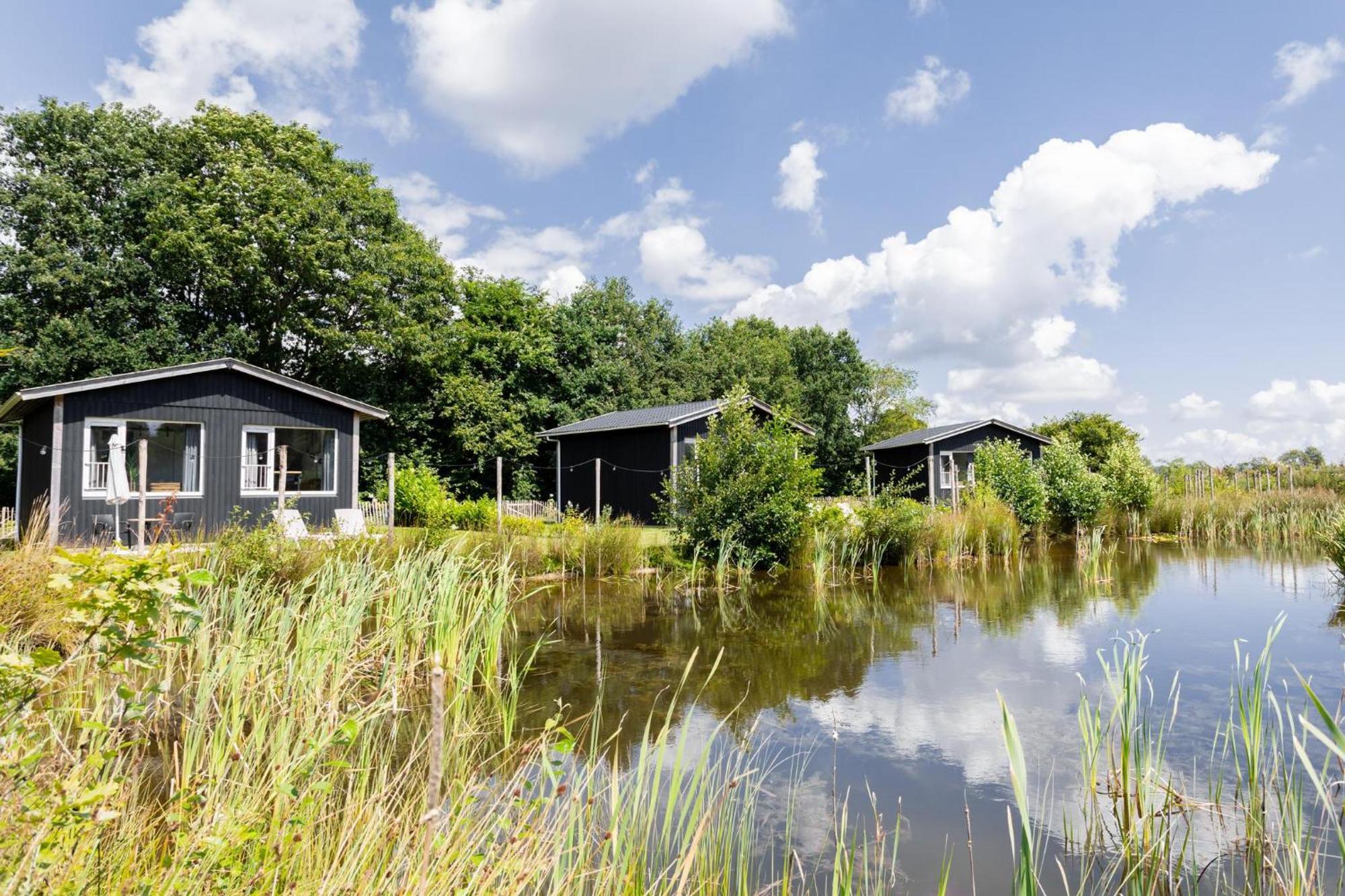 Bungalowpark De Kremmer Gasselte Bagian luar foto